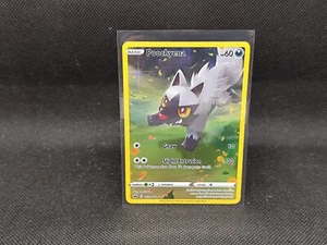 TCG Pokemon Karte Poochyena  GG33/TG70  Full Art NM Englisch Illustration RARE - Bild 1 von 2