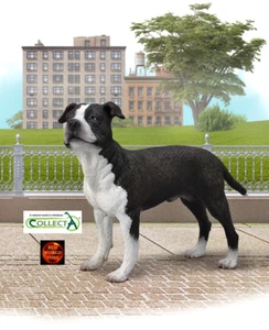 American Staffordshire Terrier Hundespielzeug Modell von CollectA 88610 Kuchenaufleger Neu - Bild 1 von 2