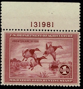 US Duck Stamp Scott #RW2 VF MNH - Picture 1 of 2