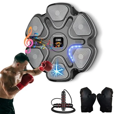 Máquina de Boxeo de Música Electrónica KIT 6 Objetivos Bluetooth Montada en la Pared Entrenamiento Foto 1 de 4