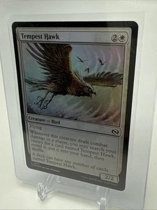 Tempest Hawk 0031- Magic the Gathering Tarkir Dragonstorm **Foil** - Picture 1 of 2