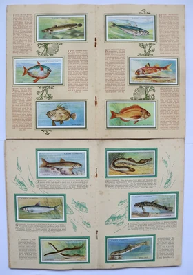 John Player Sea Fishes & Fresh Water Fishes Album, Both Complete. - Image 1 of 2
