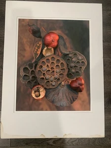 Ruth Adams “Seed Pods” Scanner as Camera Series Giclée Print Signed Botanical - Picture 1 of 8
