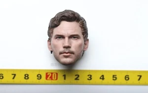 1/6 Head Sculpt Figure Hot Toys HT Star-Lord 3.0 Avengers Infinity War HT MMS539 - Picture 1 of 1