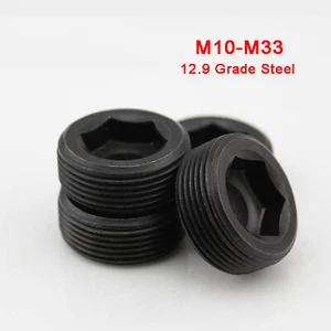 M10M12M14M16M18M20M24M26M28M30M33 Tornillos de agarre de enchufe Enchufe de tubo 12,9 Alta resistencia - Imagen 1 de 3