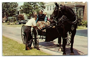 Tarjeta postal de saludos de adolescentes del campo amish con caballo y cochecito de los años 60 - Imagen 1 de 2