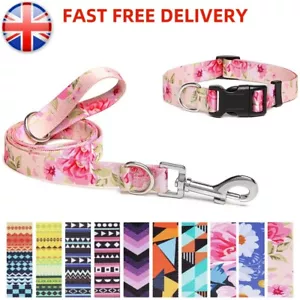 Skin Friendly Dog Puppy Collar & Lead Set Strong Lightweight Nylon Adjustable - Picture 1 of 18