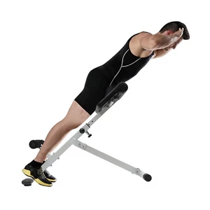 Roman Bench Back Core Strengthening Roman Chair Lower Back Exercise Home Gym - Picture 1 of 17