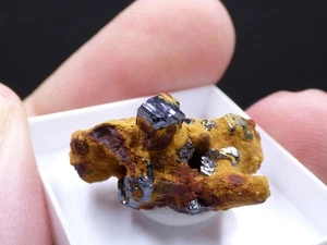 ✅ FDMINERALS ✅ 👉 CRYSTALLIZED RUTILE ON MATRIX 👈 Samuteba Mine, Zambia - af70 - Picture 1 of 8