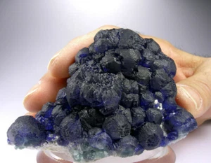 RICH BLUE FLUORITE CRYSTALS OVER QUARTZ, INNER MONGOLIA, CHINA, GLOBE MINERALS - Picture 1 of 4