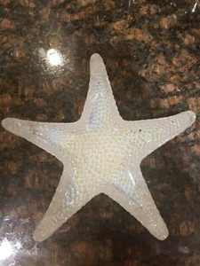 Starfish Trivet silver - Picture 1 of 8