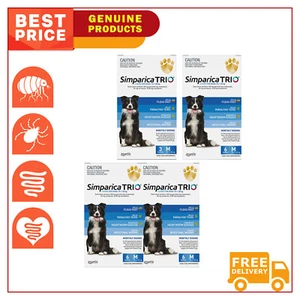 SIMPARICA TRIO 3,6,12 Chews Heartworm Flea Control Blue for 10.1 to 20 Kg Dogs - Picture 1 of 5