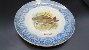 LIVERPOOL RD. POTTERY LTD STOKE ON TRENT ENGLAND 8.5" ROUND PLATE SHETLAND - Picture 1 of 9