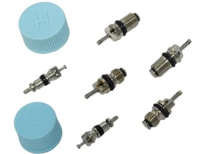 For 1994-1995 Hyundai Scoupe A/C System Valve Core and Cap Kit 24928BMJP - Image 1 of 2