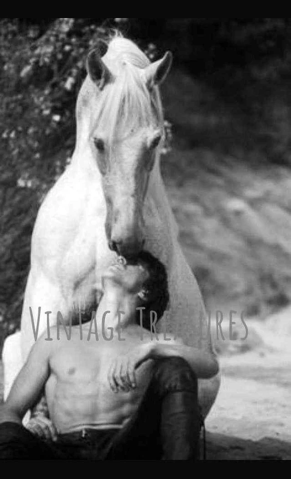 Póster impreso fotográfico de Patrick Swayze con su caballo de belleza árabe Foto 1 de 1