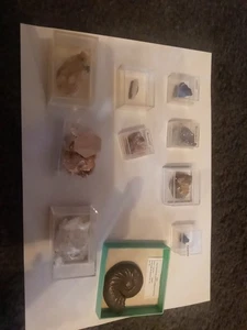 mineraliensammlung - Bild 1 von 23