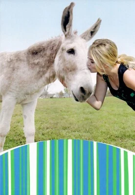 Funny ADULT BIRTHDAY Card, Girl Kiss Skinny Ass Donkey by Hallmark + Envelope - Image 1 of 4