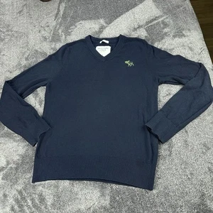 Abercrombie & Fitch Muscle Sweater Mens Large Blue Cotton Cashmere V Neck Y2K - Picture 1 of 16