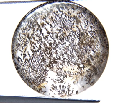 ip16 Dendrite Quartz 16ct 19x8mm round picture stone garden branches - Image 1 of 3