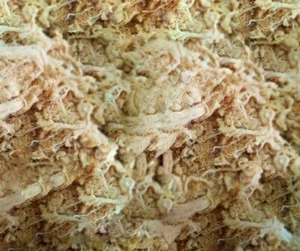 Thailand New Dried Shredded Pork Seasoning Snack Clean Fresh High Quality  - Picture 1 of 6