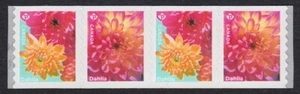 DAHLIA flowers = strip of 4 COIL stamps MNH Canada 2020 #3235-3236 - Imagen 1 de 1