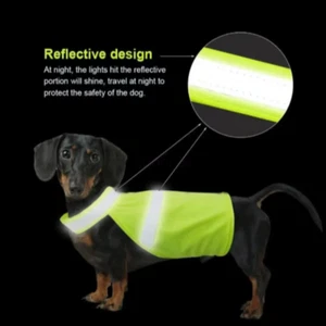 Pet Dog Safety Vest Reflective Small Large Cat Puppy Coat Clothes for Hunting - Picture 1 of 15