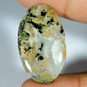 27.10Cts Natural Designer Dendrite Tiger Oval Cabochon Loose Gemstone Q442 - Picture 1 of 2