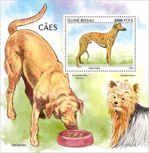 Guinea-Bissau - 2021 Greyhound Dog Breed - Stamp Souvenir Sheet - GB210604b1 - Picture 1 of 1