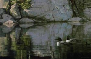 Robert Bateman - Northern Reflections - Loon Family - S/N Litho - Signed - MINT