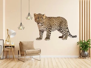 3D Kurz Leopard M012 Tier Wallpaper Wandbild Poster Wandaufkleber Zoe - Bild 1 von 6