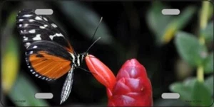 Butterfly On Red Flower License Plate Tag Novelty Metal - Picture 1 of 1