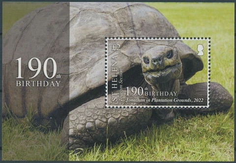 St Helena 2022 MNH Turtles Stamps Jonathan Tortoise Oldest Land Animal 1v M/S Cover