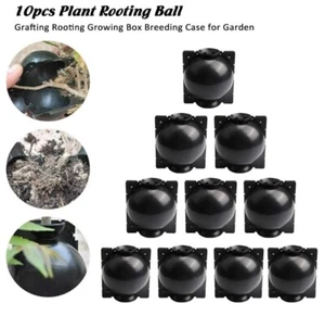 10x Plant Grafting Rooting Devices Box High Pressure Propagation Ball M 8cm N393 - Picture 1 of 10