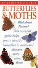 Butterflies and Moths of Britain and Europe (Collins... by Still, John Paperback