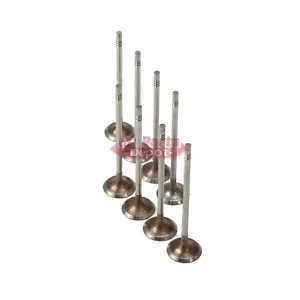 8pcs Intake Valves Fit For Audi A3 Golf Jetta 1.4T EA211 CPTA CZCA CZDD - Picture 1 of 7