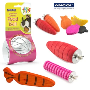 Small Animal Chew Ancol Rabbit Play Ball Wooden Wood Carrot Fruit Boredom - Picture 1 of 9