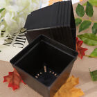  20 Pcs Black Planter Boxes Desk Decoration Flower Pot Fleshy Flowerpot