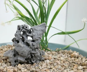 Viewing stone suiseki-scholar rock Ying stone Rough Decor Rockery bonsai J259 - Picture 1 of 6