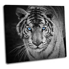 Tiger Canvas Animal Wall Art Print  Picture 25 Gallery Grade