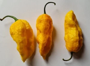 Big Mama Yellow Polvo Picante 10g - Imagen 1 de 2