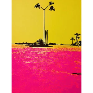 Modern Hot Pink Yellow Beach Florida Keys Huge Wall Art Print Picture 18X24 In - Bild 1 von 6