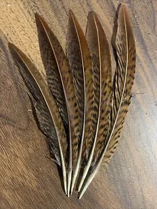 5pcs Set Natural Real Pheasant Feathers 13-18cm DIY Craft Millinery Smudge Fan - Picture 1 of 6