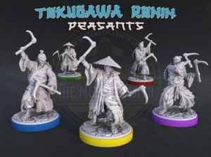 Tokugawa Ronin Peasants - Picture 1 of 7