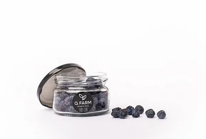 Freeze Dried Organic Blueberry Whole Healthy Snack - Picture 1 of 8