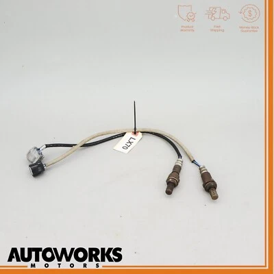 03-06 Jaguar XK8 X100 Faros Sensor de nivel Arnés de cables OEM Foto 1 de 4