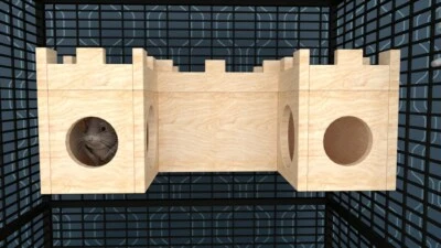 Castillo Chinchilla Dos Torres Casa Refugio Escondite Cabaña Pequeño Animal Ejercicio Wo Foto 1 de 4