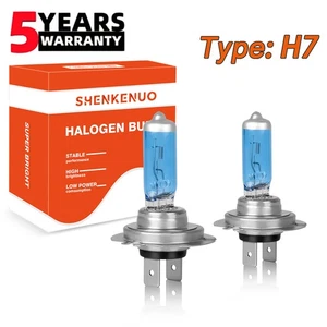 2x H7 Halogen 100W 12V Low/High Beam Headlight/Fog Bulbs Blue Glass 4200K Pair - Foto 1 di 11