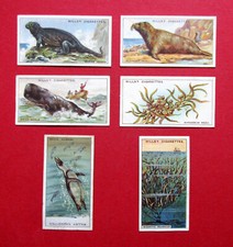 WILLS 6 VINTAGE 1928 CIGARETTE CARDS  WONDERS OF THE SEA  No's  2-3-5-6-43-44