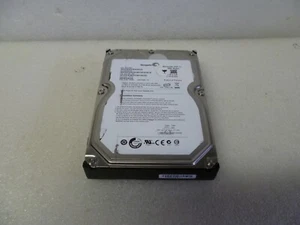 SEAGATE ST31000528AS 1 TB DISCO RIGIDO SATA P/N:9SL154-303 F/W: CC46 - Foto 1 di 3