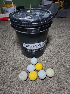 Lacrosse Ball Scratcher Igel Eimer mit 7 gebrauchten Lacrosse Bällen - Bild 1 von 9